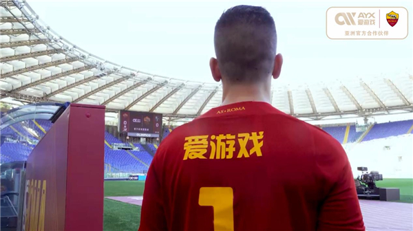 毛球大师赛