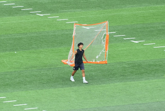 这不仅为他