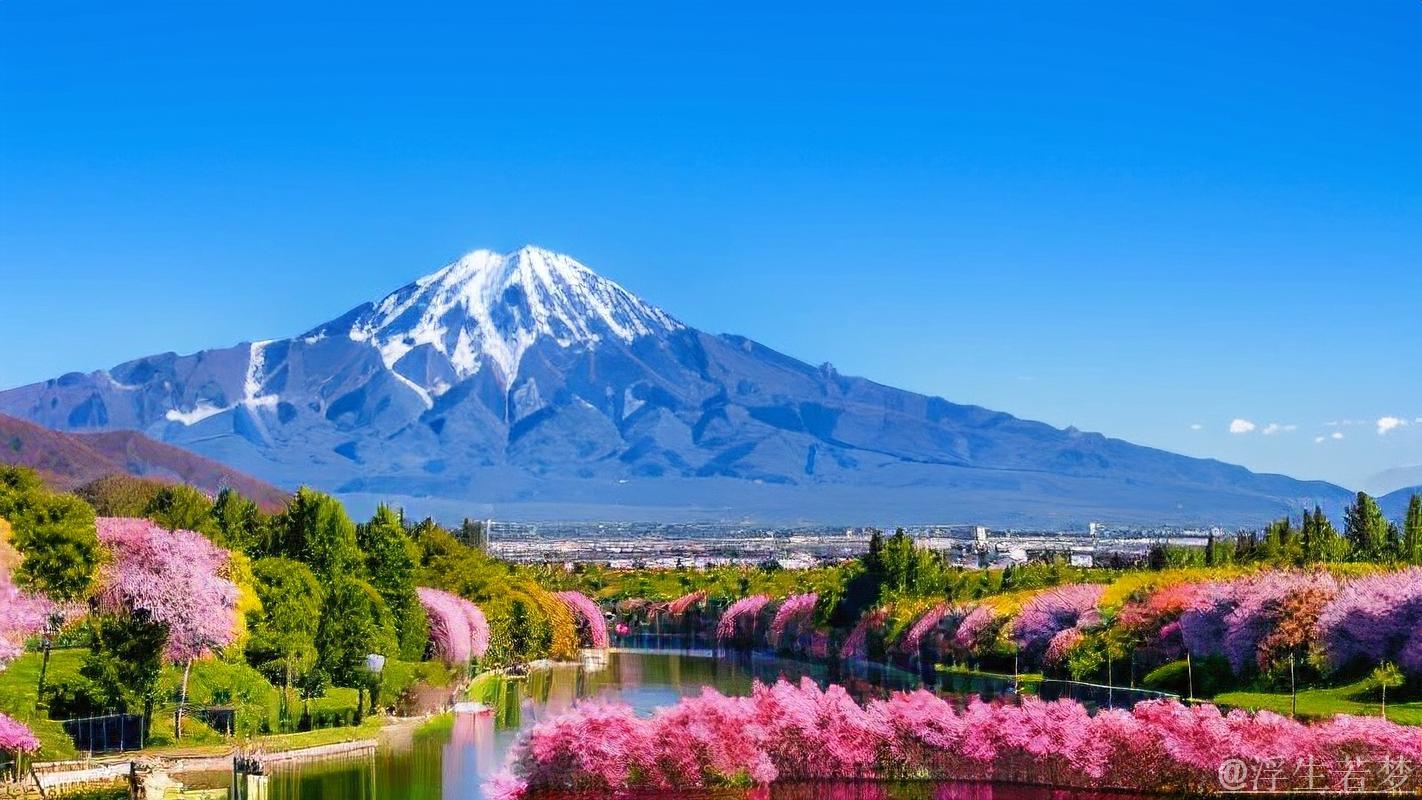 日本队:一道动人的风景 日本队:一道动人的风景